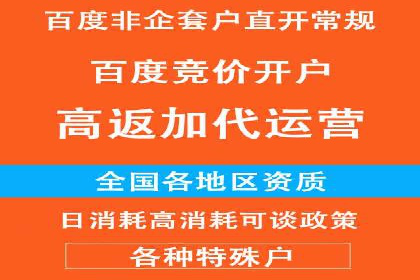 百度竞价广告投放案例剖析